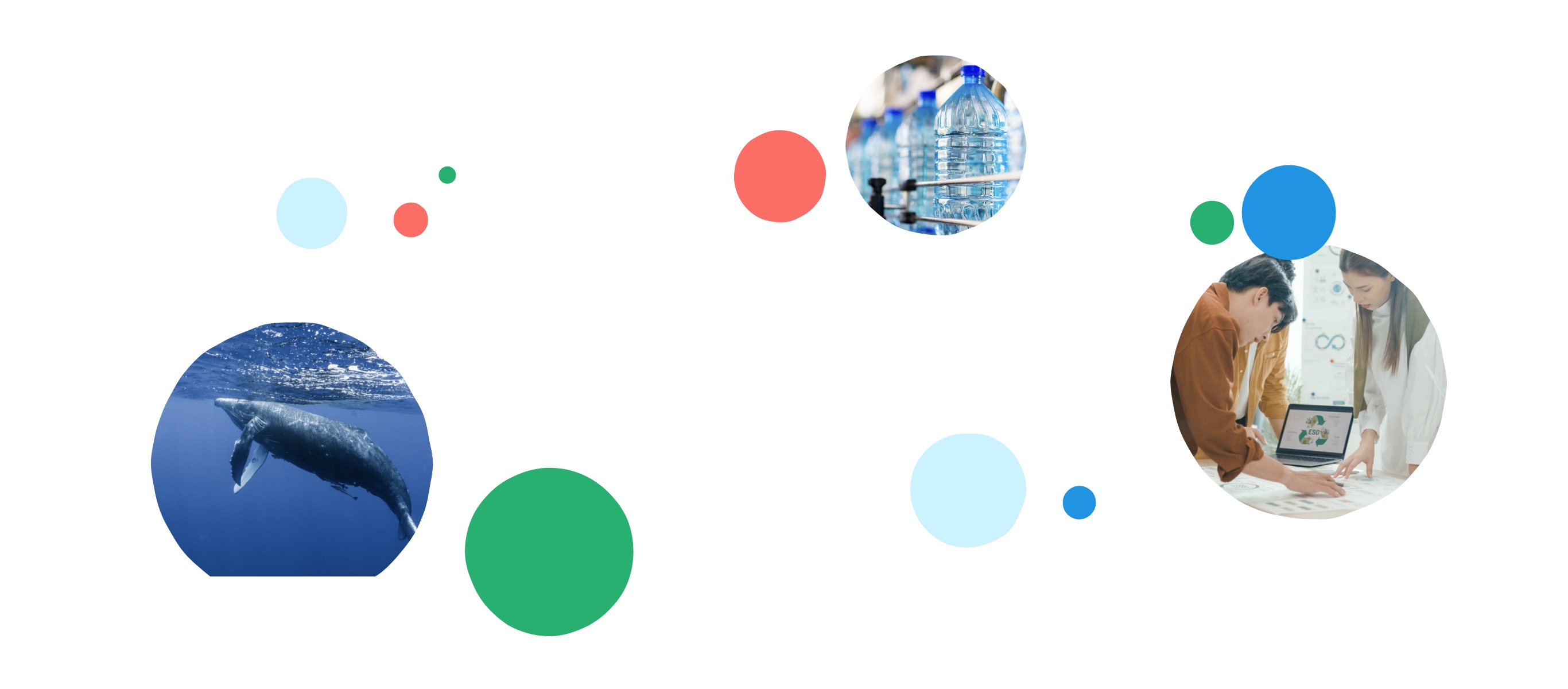 ”代替テキスト”