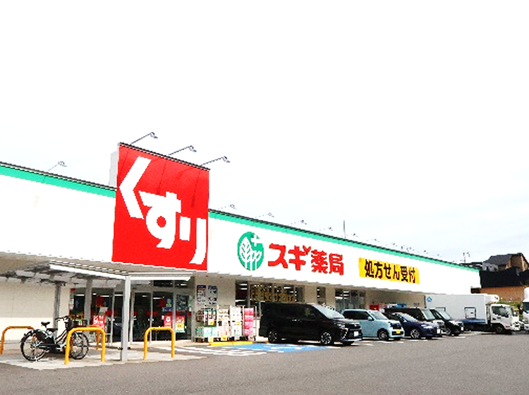 株式会社スギ薬局